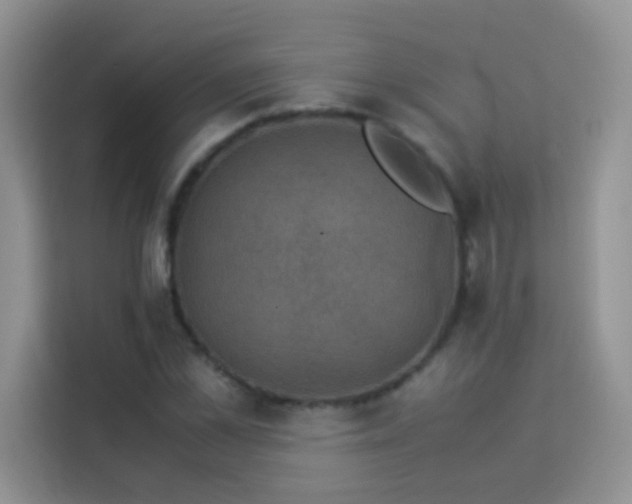 X0000114090973200910051422