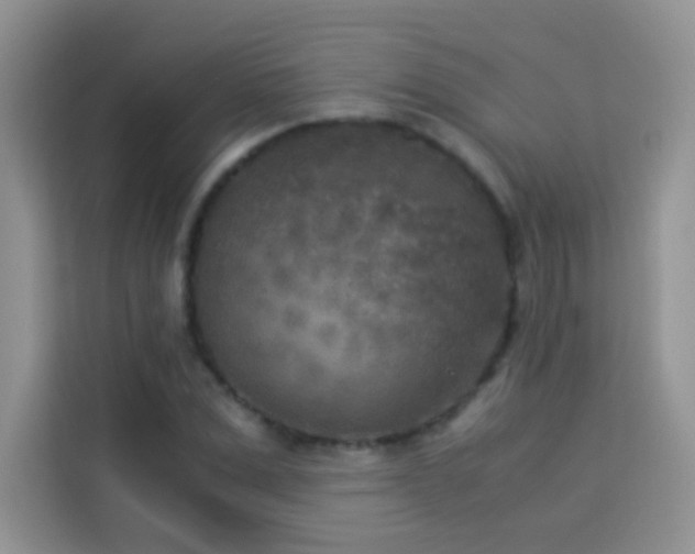 X0000114090975200910051422