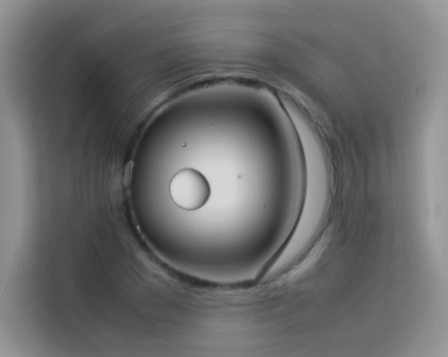 X0000114090977200910051422