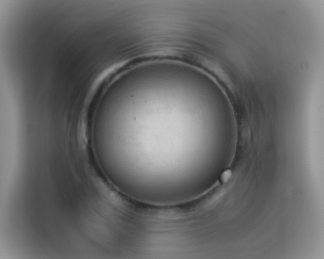 X0000114090979200910051422