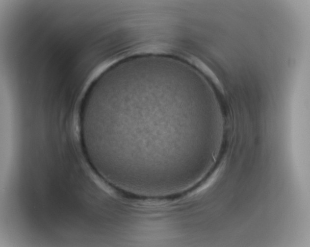 X0000114090981200910051422
