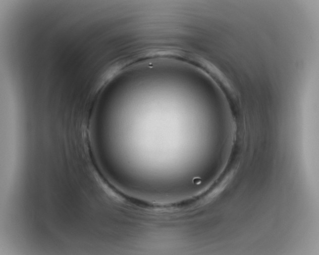 X0000114090985200910051421