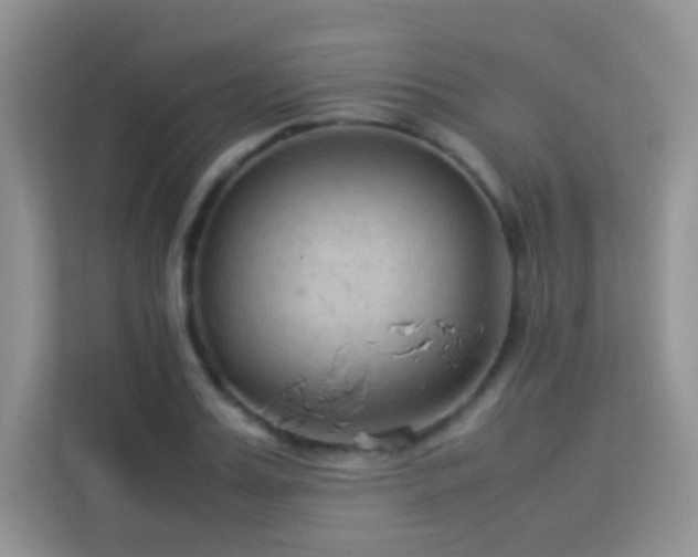 X0000114090987200910051421