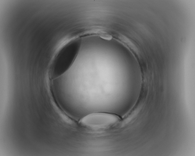 X0000114090989200910051421