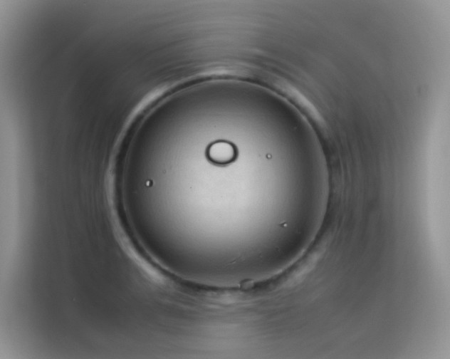 X0000114090991200910051421
