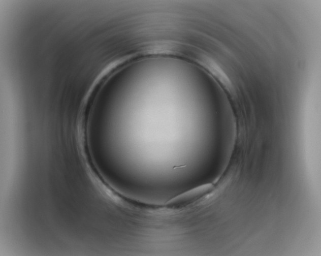 X0000114090992200910051421