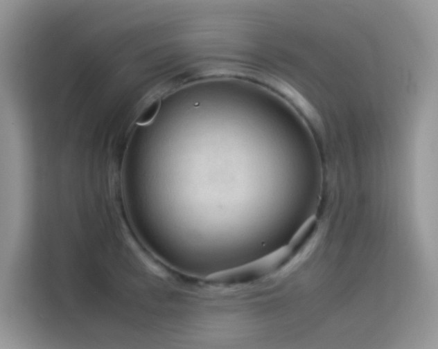 X0000114090993200910051421