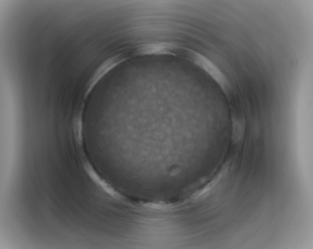 X0000114090994200910051421