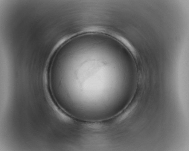 X0000114090999200910051421