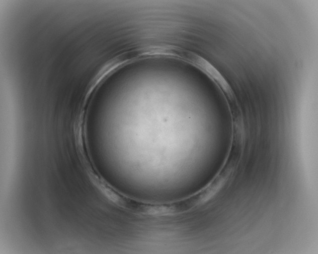 X0000114091002200910051421