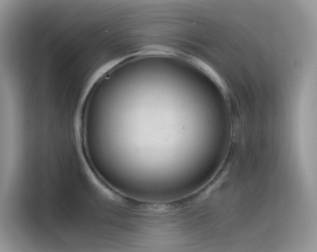X0000114091003200910051421