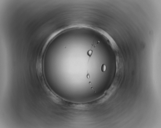 X0000114091004200910051421