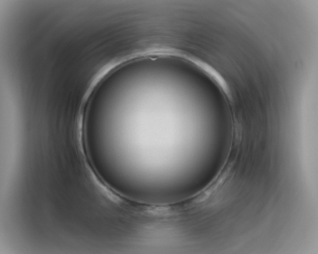 X0000114091006200910051421