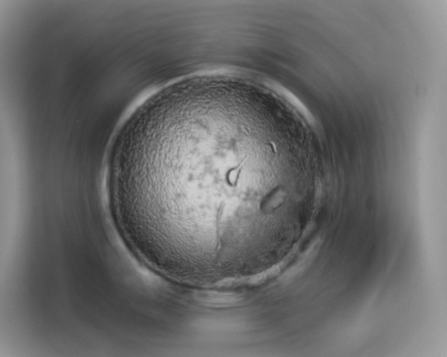 X0000114091007200910051421