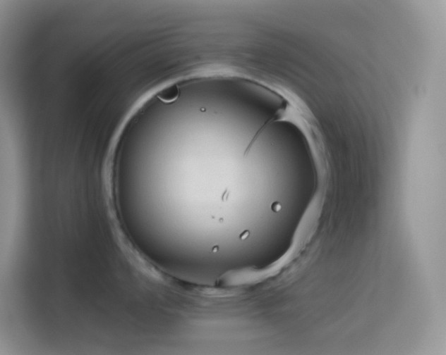 X0000114091008200910051421