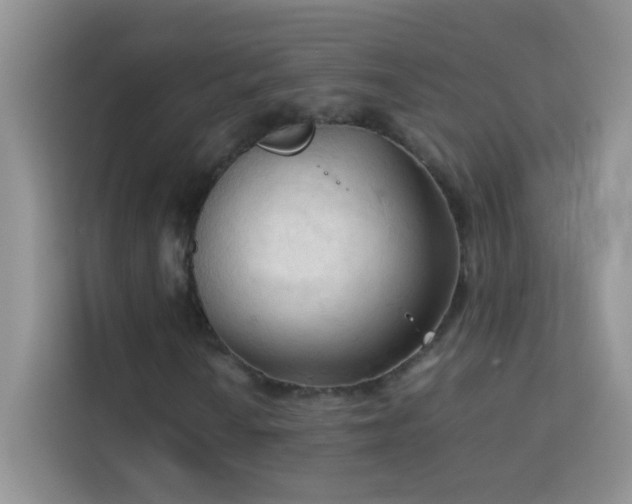 X0000114091010200910051421