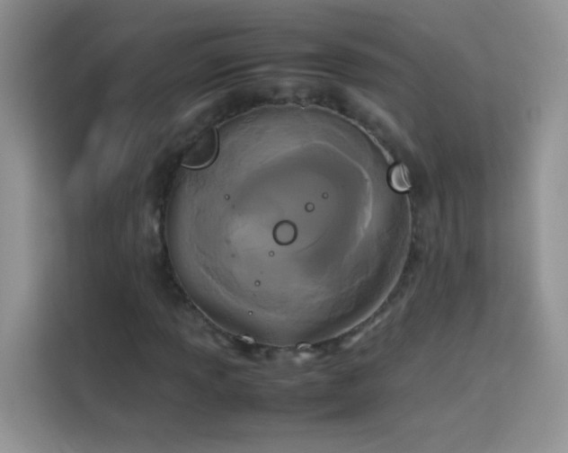 X0000114091013200910051421