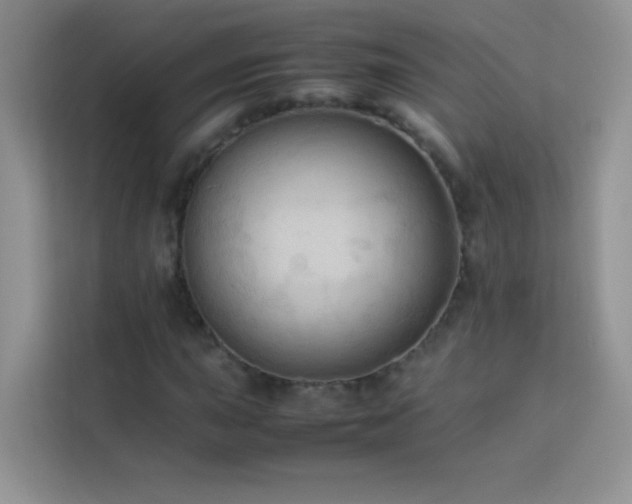 X0000114091015200910051421
