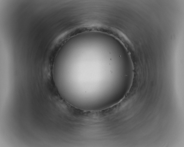 X0000114091016200910051421
