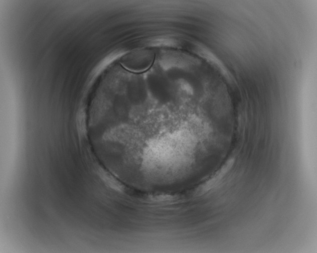 X0000114091019200910051421