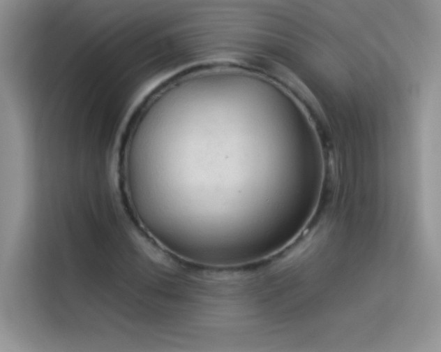 X0000114091020200910051421