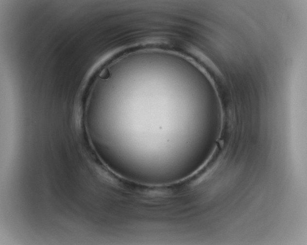 X0000114091021200910051421