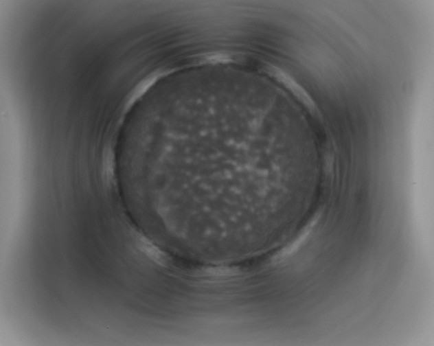 X0000114091023200910051421