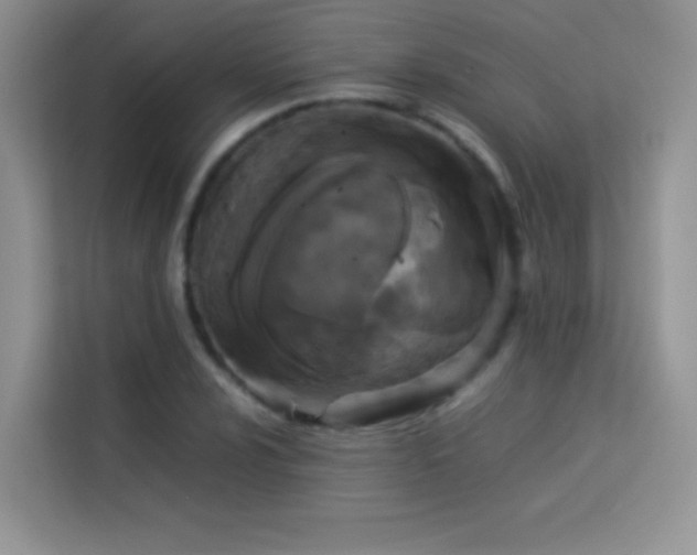 X0000114091024200910051421