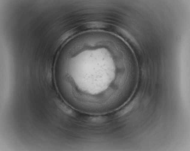 X0000114091025200910051421