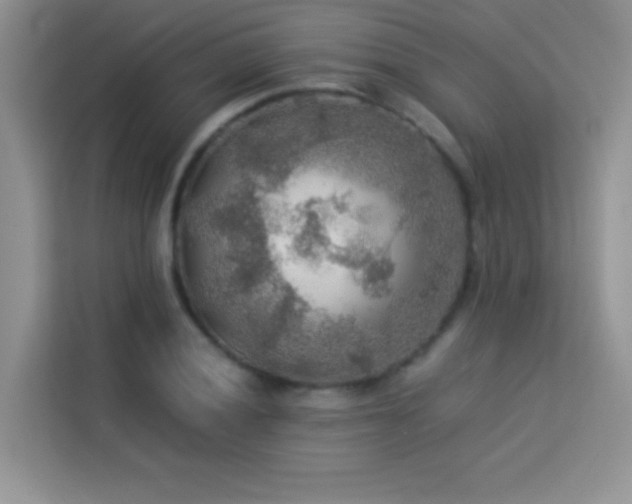 X0000114091028200910051421