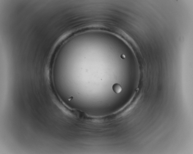 X0000114091029200910051421