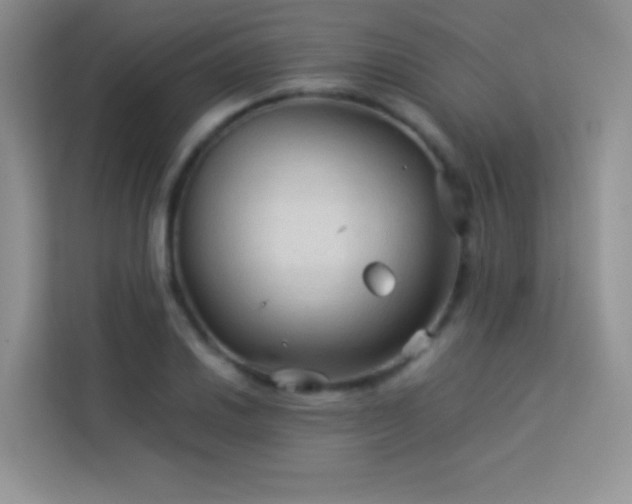 X0000114091030200910051421