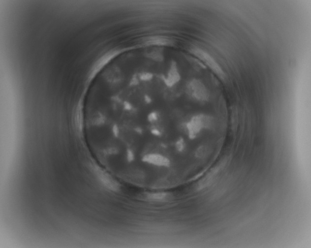 X0000114091031200910051421