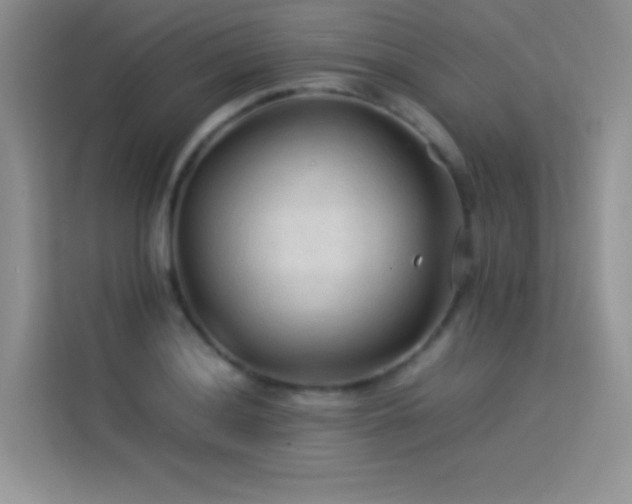X0000114091036200910051421