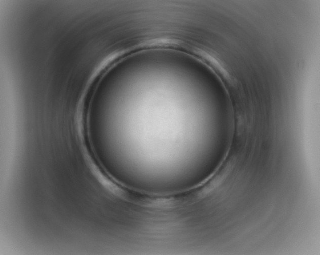 X0000114091038200910051421