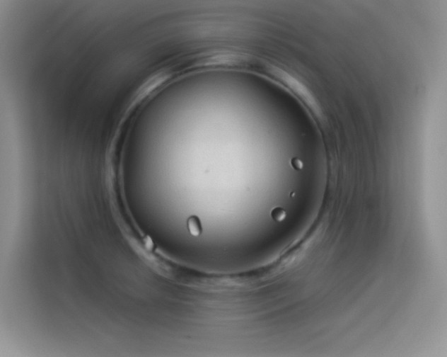 X0000114091042200910051421