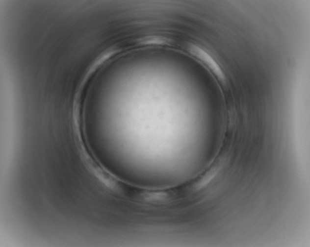 X0000114091043200910051421