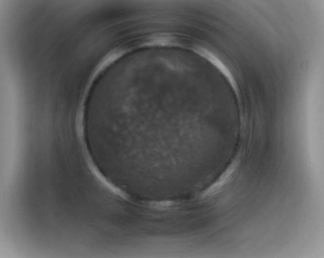 X0000114091045200910051421