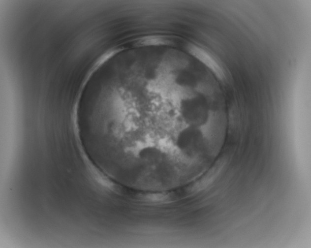 X0000114091047200910051421