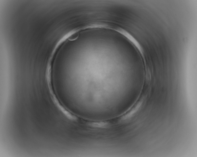 X0000114091053200910051421