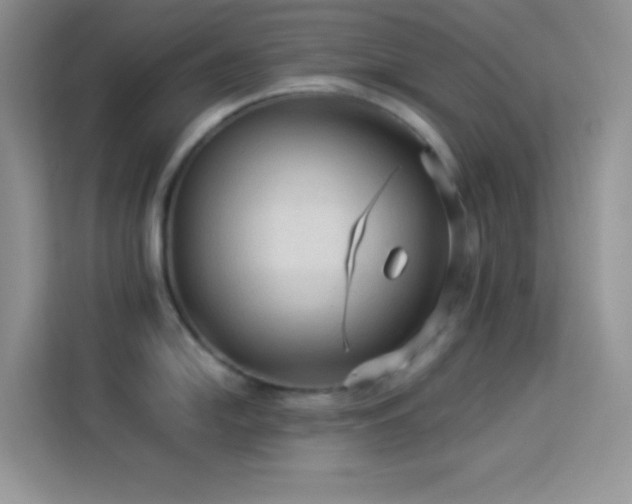 X0000114091054200910051421