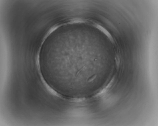 X0000114091055200910051421