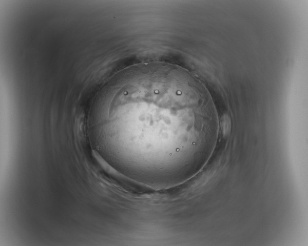X0000114091059200910051421