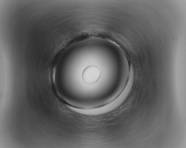 X0000114091060200910051421