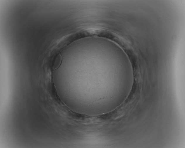 X0000114091061200910051420