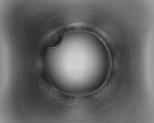 X0000114091062200910051420