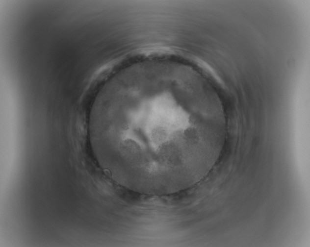 X0000114091063200910051420