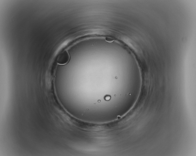 X0000114091067200910051420
