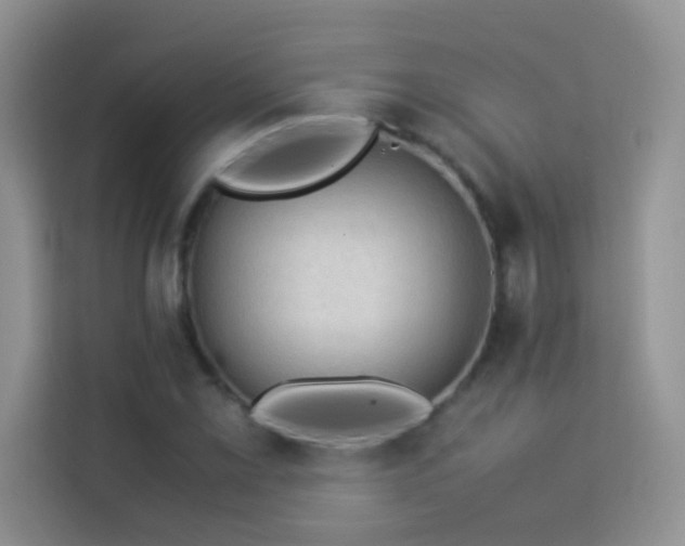 X0000114091069200910051420