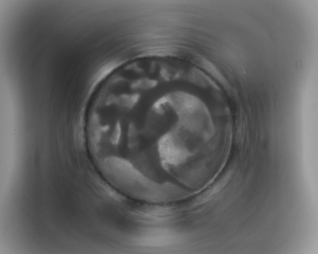 X0000114091071200910051420
